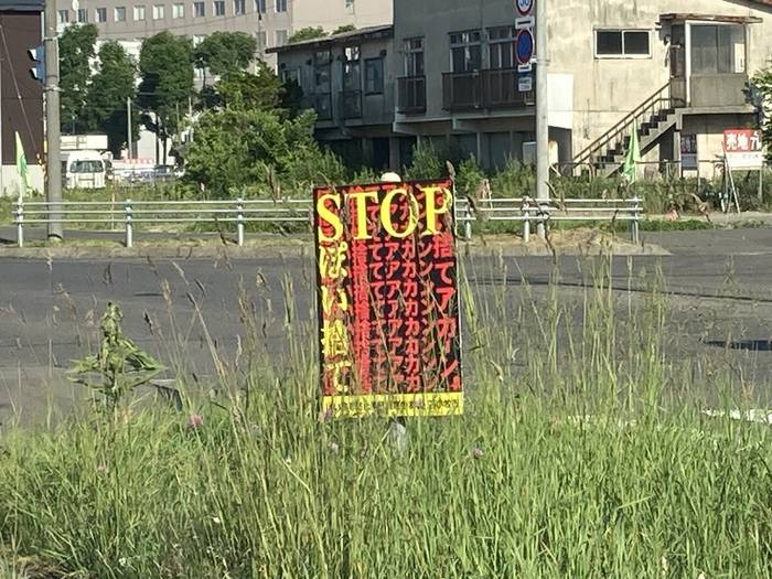 No image