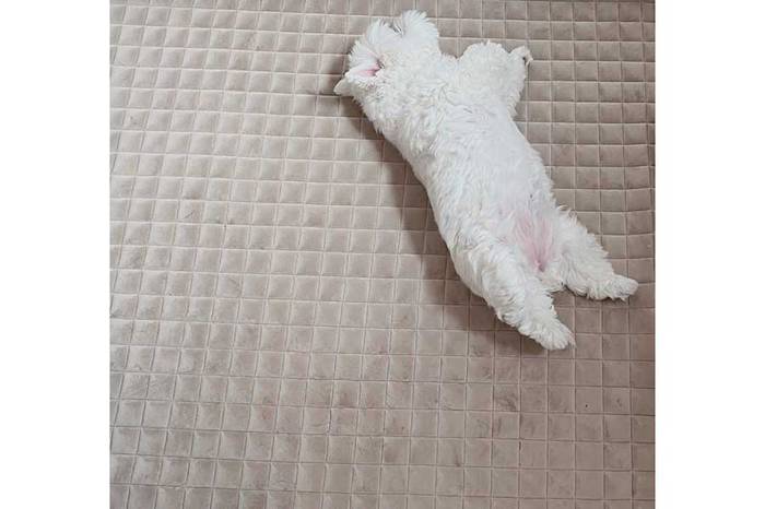 No image