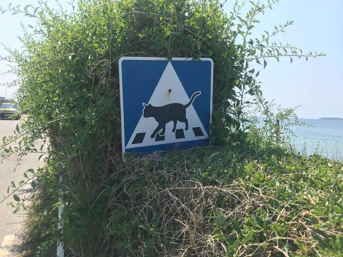 No image