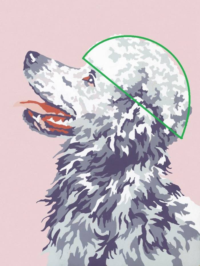 No image