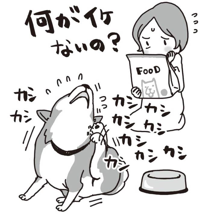 No image