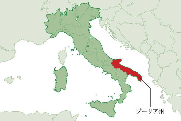 州ごとに学ぶイタリアワイン【11_プーリア州】